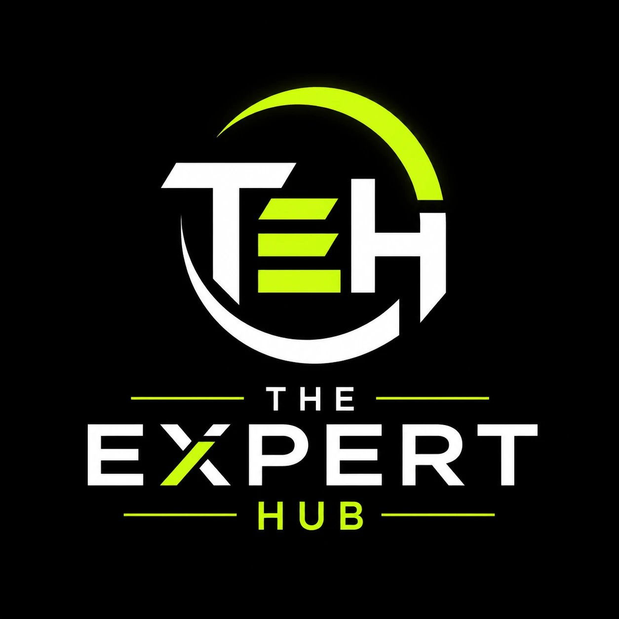 THE EXPERT HUB